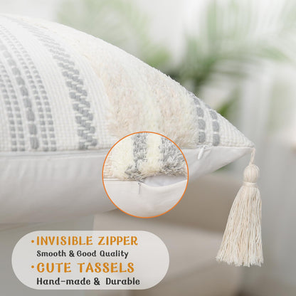 decorUhome 2pcs Throw Pillow Covers