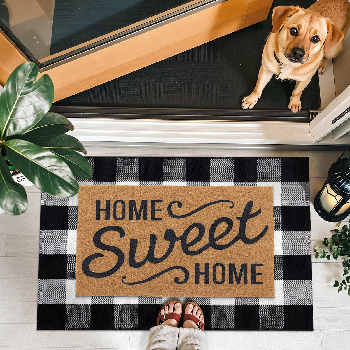 Buganda Buffalo Plaid Area Rug