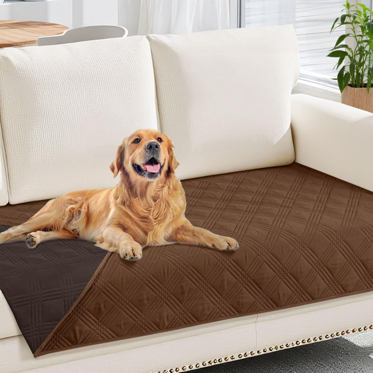 Smile Bee Waterproof Sofa Cover for Dogs Pets
