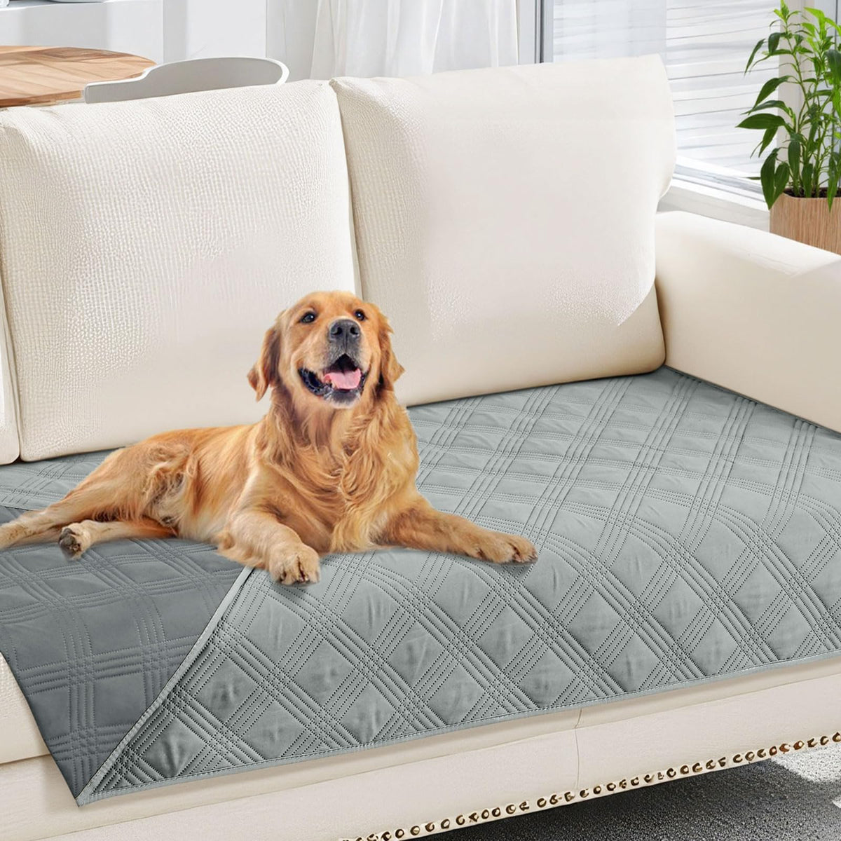Smile Bee Waterproof Sofa Cover for Dogs Pets