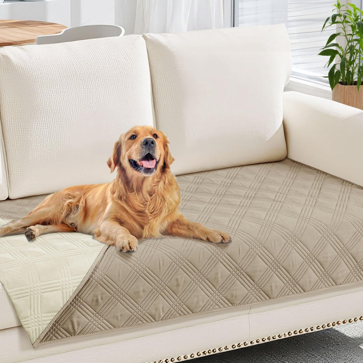 Smile Bee Waterproof Sofa Cover for Dogs Pets